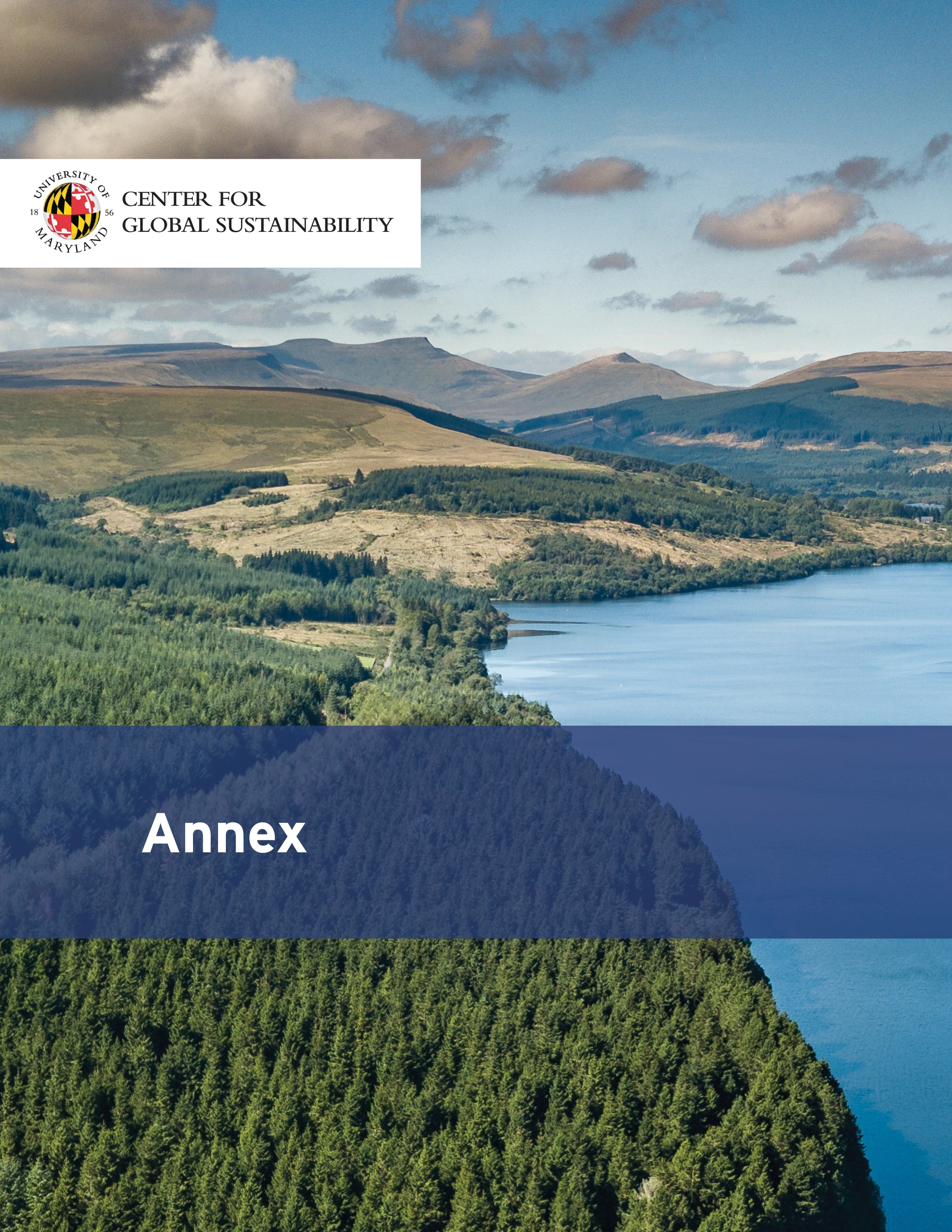 Annex